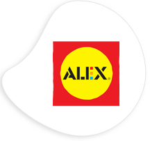 Wholesaler of Alex Toys