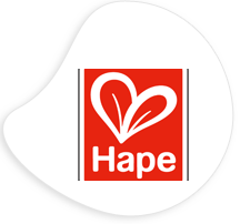 Suppliers of Hape Toys