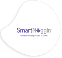 Distributor of Smart Noggin Toys